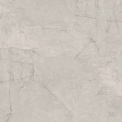 SARY GRIS POLER 100X100...