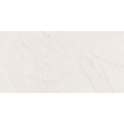 SUBLIME BEIGE MAT 60X120...