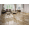 UMBRIA BEIGE POŁYSK 60,5X60,5 GAT.1 (P.75603)