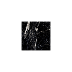 HG GOLDEN WHITE POŁYSK 60X60 REKT. GAT.1 (P.76181)