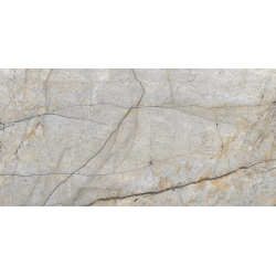 SILVER RIVER POŁYSK 60X120 REKT. GAT.1 (P.76177)