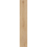 HEARTWOOD HONEY GRES SZKL. REKT. STRUKTURA MAT. 19,8X119,8 GAT.1 (P.48613)