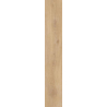 HEARTWOOD HONEY GRES SZKL. REKT. STRUKTURA MAT. 19,8X119,8 GAT.1 (P.48613)