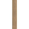 HEARTWOOD TOFFEE GRES SZKL. REKT. STRUKTURA MAT. 19,8X119,8 GAT.1 (P.48621)