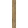 SPECIALWOOD HONEY GRES SZKL. REKT. STRUKTURA MAT. 19,8X119,8 GAT.1 (P.48661)
