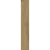 SPECIALWOOD HONEY GRES SZKL. REKT. STRUKTURA MAT. 19,8X119,8 GAT.1 (P.48661)