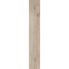 HEARTWOOD CARDAMON GRES SZKL. REKT. STRUKTURA MAT. 19,8X119,8 GAT.1 (P.48605)