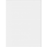 NEVE BIANCO SCIANA MAT. 25X33,3 GAT.1 (P.76781)