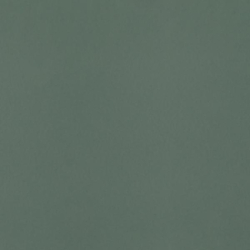 NEVE CREATIVE DARK GREEN...