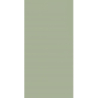 FEELINGS GREEN SCIANA REKT. 29,8X59,8 GAT.1 (P.46793)