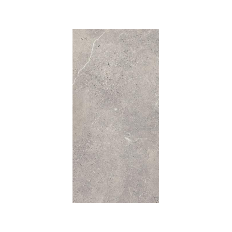 SUNNYDUST GRYS GRES SZKL. REKT. MAT. 59,8X119,8 GAT.1 (P.49035)
