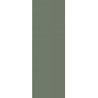 NIGHTWISH GREEN SCIANA REKT. 25X75 GAT.1 (P.46745)