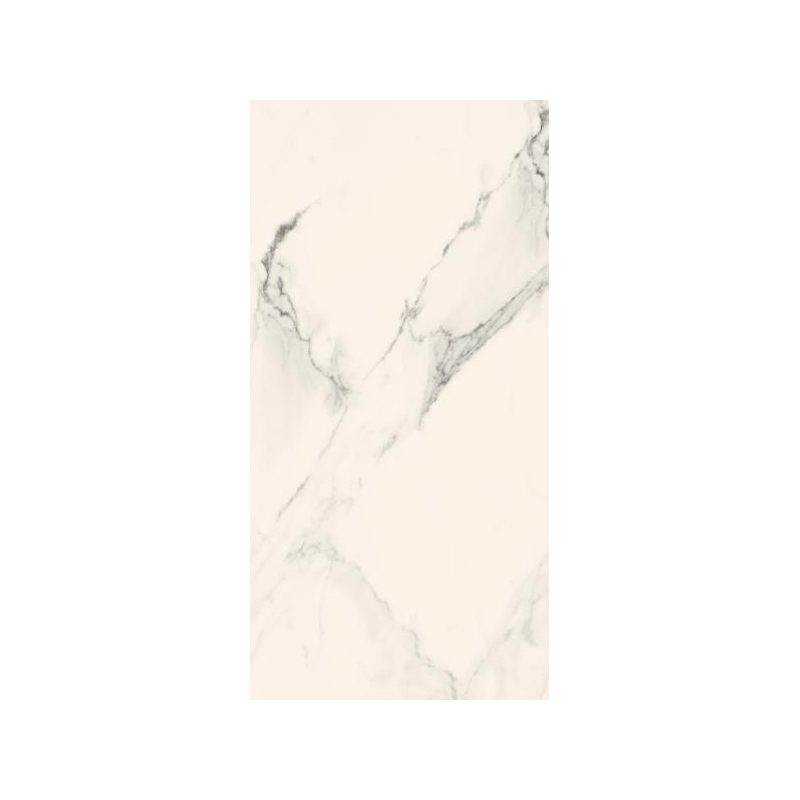 BLISS SILVER SCIANA POLYSK 30X60 GAT.1 (P.46547)
