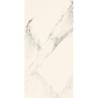 BLISS SILVER SCIANA POLYSK 30X60 GAT.1 (P.46547)