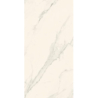 BLISS SILVER SCIANA POLYSK 30X60 GAT.1 (P.46547)