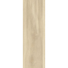 LIGHTMOOD VANILLA GRES SZKL. 20X60 GAT.1 (P.48203)