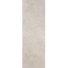 FREEDOM GRYS SCIANA REKT. 25X75 GAT.1 (P.46725)