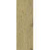DECORWOOD GOLD GRES SZKL. STRUKTURA MAT. 20X60 GAT.1 (P.48185)