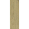 DECORWOOD GOLD GRES SZKL. STRUKTURA MAT. 20X60 GAT.1 (P.48185)