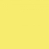 GAMMA COLOURS CYTRYNOWA SCIANA POLYSK 19,8X19,8 GAT.1 (P.52161)