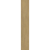 SPACEWOOD GOLD GRES SZKL. REKT. STRUKTURA MAT. 19,8X119,8 GAT.1 (P.48653)