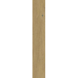 SPACEWOOD GOLD GRES SZKL. REKT. STRUKTURA MAT. 19,8X119,8 GAT.1 (P.48653)