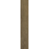 WARMWOOD HONEY GRES SZKL. REKT. STRUKTURA MAT. 19,8X119,8 GAT.1 (P.48673)