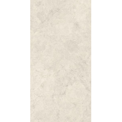 DREAM GREY SCIANA POLYSK 30X60 GAT.1 (P.46549)