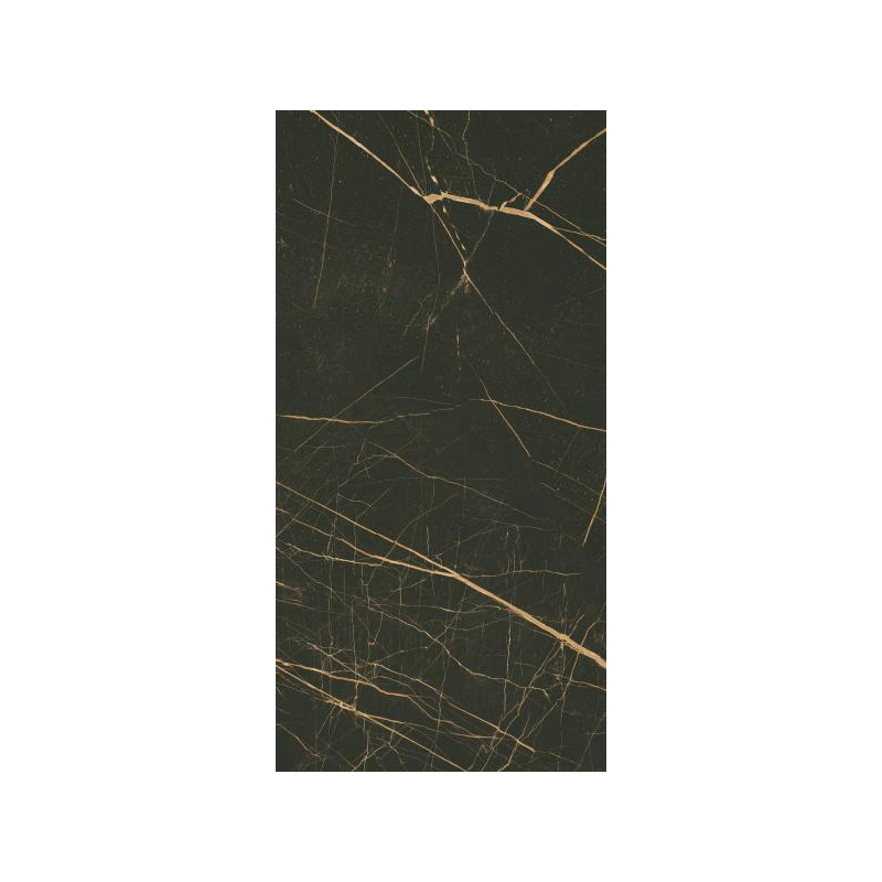 FANCY BLACK SCIANA POLYSK 30X60 GAT.1 (P.46557)