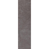 TAURUS GRYS ELEWACJA 24,0X6,5 GAT.1 (P.76947)