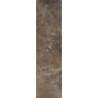ARTEON TAUPE ELEWACJA 24,5X6,6 GAT.1 (P.47233)