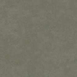INTERO OLIVE GRES REKT. MAT. 59,8X59,8 GAT.1 (P.48065)