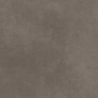 ARCHITEQ BROWN GRES SZKL. REKT. MAT 59,8X59,8 GAT.1 (P.49489)