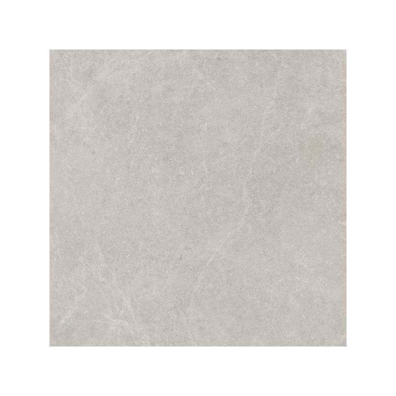 U118 LIGHT GREY GRES SZKL. REKT. POLPOLER 59,8X59,8 GAT.1 (P.48459)