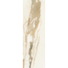 WARM WIND GOLD SCIANA REKT. POLYSK 29,8X89,8 GAT.1 (P.46897)