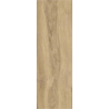 GREATWOOD GOLD GRES SZKL. STRUKTURA MAT. 20X60 GAT.1 (P.76997)
