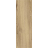 GREATWOOD GOLD GRES SZKL. STRUKTURA MAT. 20X60 GAT.1 (P.76997)