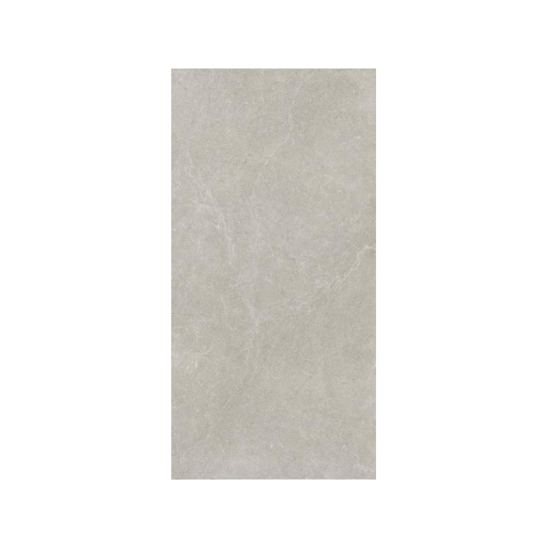 U118 LIGHT GREY GRES SZKL. REKT. MAT. 59,8X119,8 GAT.1 (P.49049)
