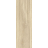 LIGHTMOOD VANILLA GRES SZKL. 20X60 GAT.1 (P.52175)