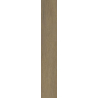 SPACEWOOD HONEY GRES SZKL. REKT. STRUKTURA MAT. 19,8X119,8 GAT.1 (P.48655)