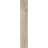HEARTWOOD CARDAMON GRES SZKL. REKT. STRUKTURA MAT. 19,8X119,8 GAT.1 (P.48603)