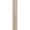 HEARTWOOD CARDAMON GRES SZKL. REKT. STRUKTURA MAT. 19,8X119,8 GAT.1 (P.48603)