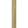 SPECIALWOOD GOLD GRES SZKL. REKT. STRUKTURA MAT. 19,8X119,8 GAT.1 (P.48659)