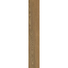 TRUELAND HONEY GRES SZKL. REKT. MAT. 19,8X119,8 GAT.1 (P.48667)