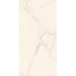 BLISS GOLD SCIANA POLYSK 30X60 GAT.1 (P.46545)