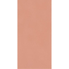 NEVE CREATIVE BLUSH SCIANA POLYSK 9,8X19,8 GAT.1 (P.46425)