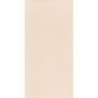 NEVE CREATIVE BEIGE SCIANA POLYSK 9,8X19,8 GAT.1 (P.46423)