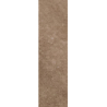 MATTONE SABBIA BROWN ELEWACJA 24,5X6,6 GAT.1 (P.47257)