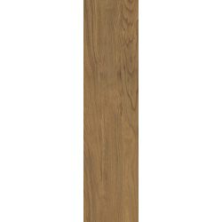 PLYTA TARASOWA TRUELAND HONEY GRES SZKL. REKT. STRUKTURA 20MM MAT. 29,5X119,5 GAT.1 (P.48731)