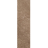 MATTONE SABBIA BROWN ELEWACJA 24,5X6,6 GAT.1 (P.47255)